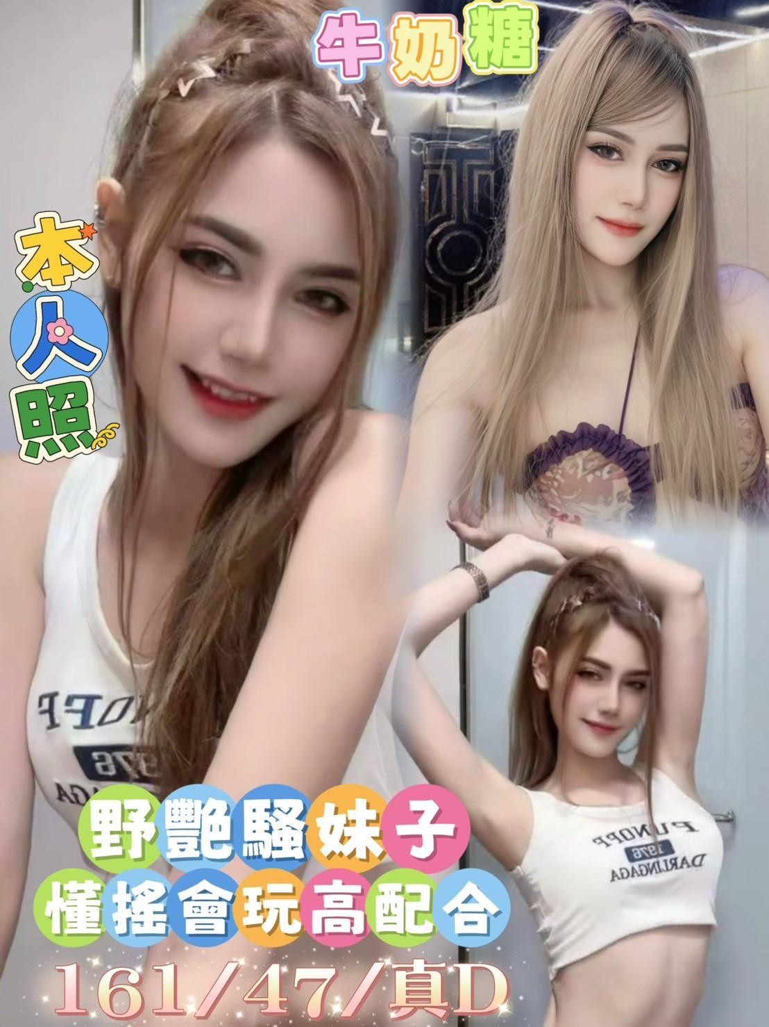 台南永康 善化 新營定點 台南永康 善化 新營定點