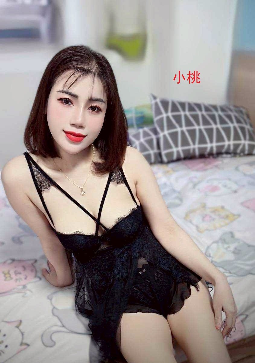 新竹北區 湖口定點 新竹北區 湖口定點